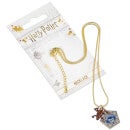 Harry Potter Chocolate Frog Necklace - Silver