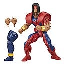 Hasbro Marvel Legends Deadpool Warpath 6-Inch Scale Figure