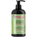Mielle Organics Rosemary Mint Shampoo