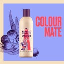 Aussie Colour Mate Shampoo for Coloured Hair 300ml