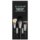 Sigma Classic Face Brush Set
