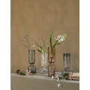 Broste Copenhagen Hyacinth Glass Vase - Medium - Indian Tan
