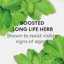 bareMinerals Exclusive Skinlongevity Long Life Herb Night Treatment 50ml