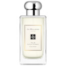 Fig and shop lotus flower review