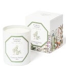 Carrière Frères Scented Candle Tea Plant - Camellia Sinensis - 185 g