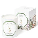 Carrière Frères Scented Candle Ginger - Zingiber - 185 g
