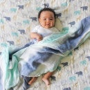 aden + anais Silk Soft Swaddles - Expedition (3 Pack)