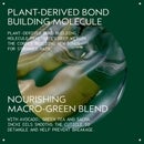 Aveda Botanical Repair Intensive Strengthening Masque Light 300ml