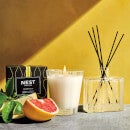 NEST New York Amalfi Lemon and Mint Classic Candle 230g
