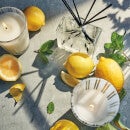 NEST New York Amalfi Lemon and Mint Reed Diffuser 175ml