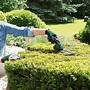 Bosch Isio III Cordless Shrub Shear Homebase
