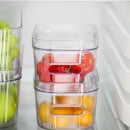Smartstore Compact Clear Lid XS