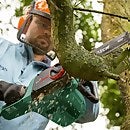 Electric top chainsaw homebase