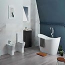 Falcon Rimless Back To Wall Close Coupled Toilet with Soft Close Toilet Seat