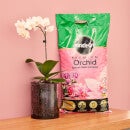MG Orchid Compost 6L