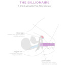 Smile Makers - The Billionaire