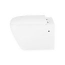 Cedar Wall Hung Toilet with Soft Close Toilet Seat