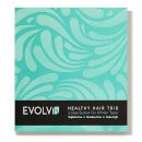 EVOLVh Healthy Hair Trio (3 piece - $82 Value)