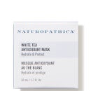 Naturopathica White Tea Antioxidant Mask (1.7 fl. oz.)