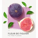 Solinotes Eau de Parfum - Fig Tree 1.7 oz