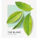 Solinotes Eau de Parfum Mini - White Tea 0.5 oz