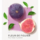 Solinotes Eau de Parfum Roll-On - Fig Tree Flower 0.33 oz