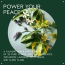 Aveda Shampowder Dry Shampoo 56g