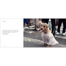 Thames and Hudson Ltd: Magnum Dogs