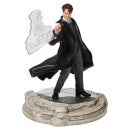Wizarding World Of Harry Potter Tom Riddle Figurine