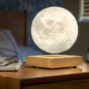 Gingko Smart Moon Lamp - Ash