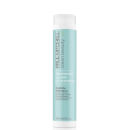 Paul Mitchell Clean Beauty Hydrate Shampoo and Conditioner Set