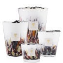 Baobab Collection Rainforest Candle Tanjung (Various Sizes)