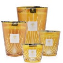 Baobab Collection Palm Palma Candle (Various Sizes)