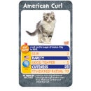 Top Trumps Card Game - Cats Edition