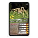 Top Trumps Card Game - Spiders Edition