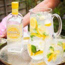 Verano Lemon Flavoured Premium Gin 70cl