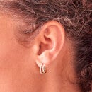 Estella Bartlett 女式双环耳环- 镀金