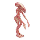 Super7 Alien Resurrection Figurine articulée - Nouveau-né