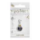 Harry Potter Hogwarts Express Slider Charm - Silver