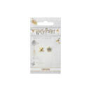 Harry Potter Chocolate Frog and Box Stud Earrings - Silver