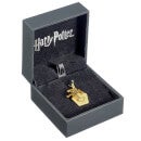 Harry Potter Chocolate Frog Slider Charm Embellished with Crystals - Gold