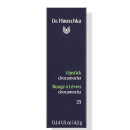 Dr. Hauschka Lipstick 4.1g (Various Shades)