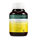 Immune Support Olive Leaf Extract Capsules - 60 caps