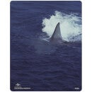 Jaws 2 - Zavvi Exclusive Steelbook