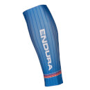 Endura Tim Don Rocketman Calf Guards - Blue