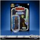 Figurine de Collection Hasbro Star Wars The Vintage Collection Luminara Unduli