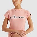Cratere T-Shirt Coral