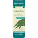 Pure Eucalyptus Essential Oil - 15ml