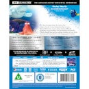Finding Dory - Zavvi Exclusive 4K Ultra HD Collection #19