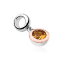 November Birthstone Milestones Bead Charm